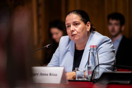 Unger Anna elszámoltatási terve a parlamentben: a felcsúti számvevőszék feudalizálta az országot, 500 millió forint feletti felelősökre vadászik az új szuperhivatal