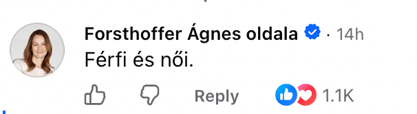 forsthoffer agnes ferfi es noi