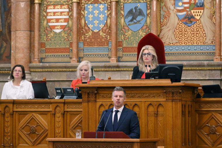 Hallerné Nagy Anikó elvette a szót Magyar Pétertől: meglepő jelenet követte az ülésteremben a kemény fegyelmezést