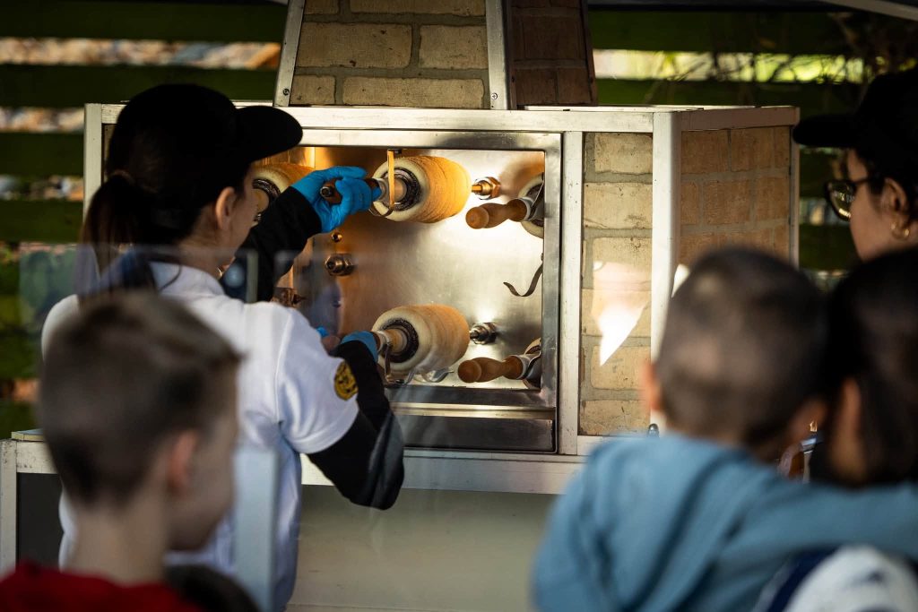 kotcsei piknik 2026 fotok6