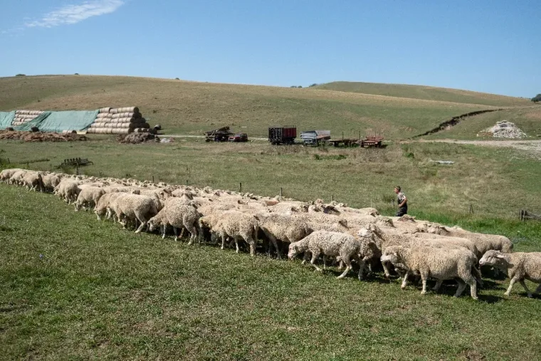 A folyamat alapjait már a NER előtt letették: Tízezrével szűnnek meg a magyar gazdaságok a KSH szerint