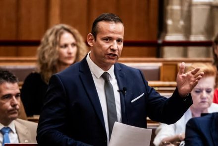 toroczkai laszlo parlament