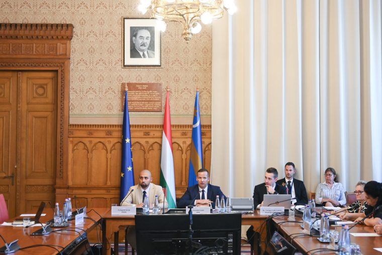 Három kulcsszereplő beidézésével indul a végrehajtási bizottság: Toroczkai László szigorú ultimátumot adott az intézményeknek