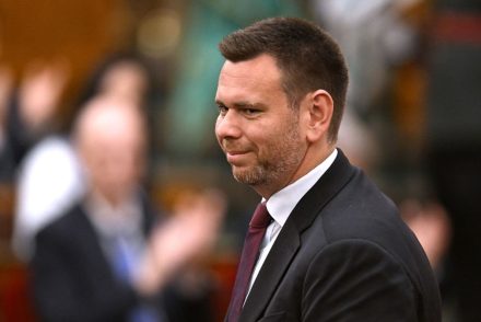 vitezy david