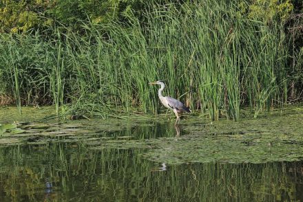 Hová utaznak a magyarok nyáron a Balatonon kívül?